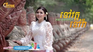 ទៅវត្តទៅវ៉ា-Meas Soksophea