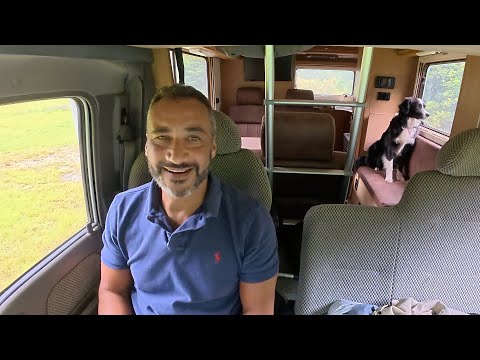 Van Camping With Dogs In Rain Forest