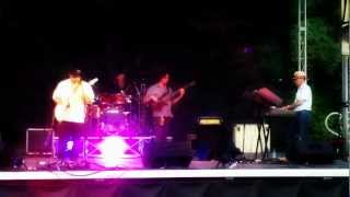 "Bring It On Home To Me" performed by The Mike Delaney Project at the Lovejoy Fall Festival.