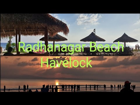 Havelock Radhanagar Beach Viewpoint #andaman #havelockisland #radhanagarbeach #tourvlog #tourindia