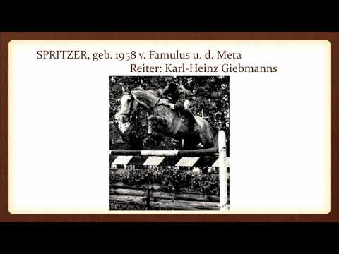 10. Trakehner Kamingespräch