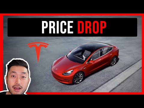 TESLA MODEL Y / 3 PRICE DROP | is the US next?