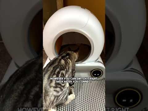 Robot Self- Automatic Self- Cleaning Cat Litter Box | cat litter box | best automatic cat litter box