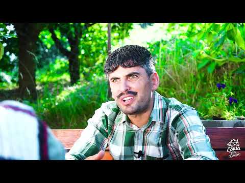 Vacanța mare fără testare