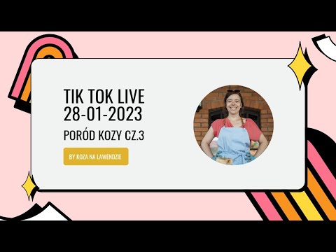 Tik Tok live 28.01.2023 z porodem kozy