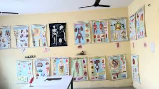 Saraswati Modern Public School Video