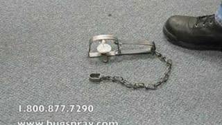 Long Spring # 1 Trap misconceptions