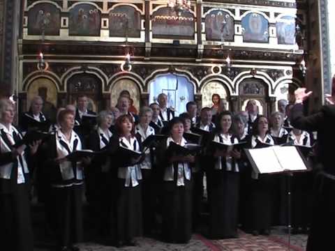 Plecaciune Tie - Corul VOX ANIMI