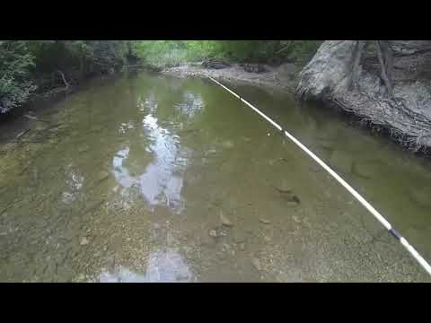 Water Moccasin Attacks Fisherman