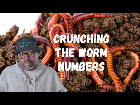 How Many Red Wigglers Do I Need To Start A Worm Farm(Here's Your Answer)