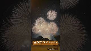 #花火 #hanabi #フィナーレ