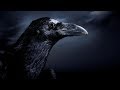 Alan Parsons - The Raven Lyrics