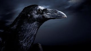 Alan Parsons - The Raven Lyrics