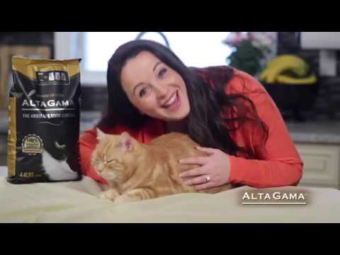 download lagu mp3 mp4 Altagama Cat Litter, download lagu Altagama Cat Litter gratis, unduh video klip Altagama Cat Litter