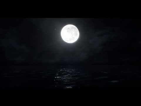 Teaser