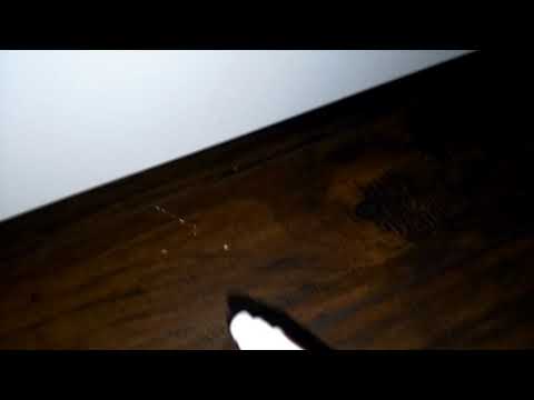 Remove scratches from laminate flooring.