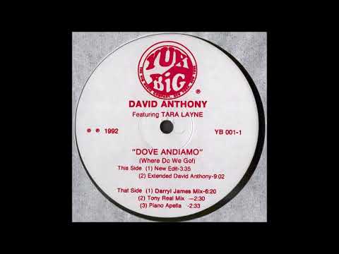 David Anthony Featuring Tara Layne - Dove Andiamo (Where Do We Go!) (Darryl James Mix)