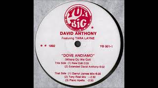 David Anthony Featuring Tara Layne - Dove Andiamo (Where Do We Go!) (Darryl James Mix)