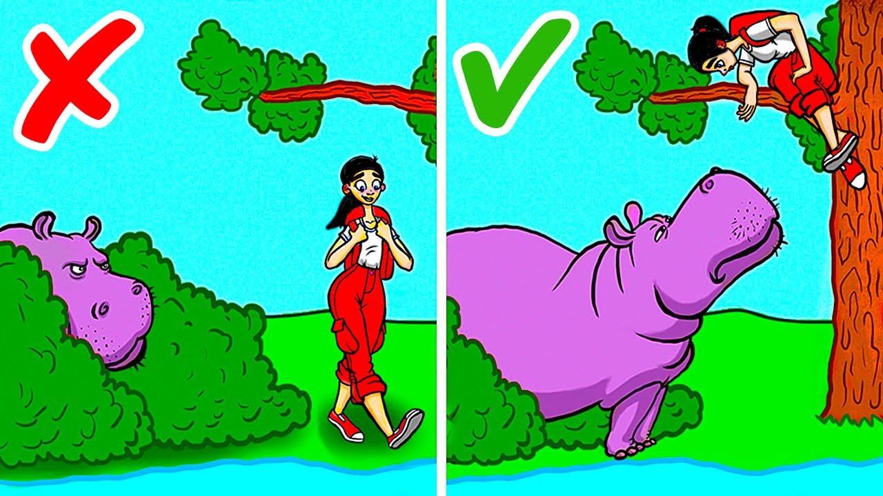 O Que Fazer se Você Topar Com Um Leão-da-Montanha, um Urso ou Outros Animais Selvagens