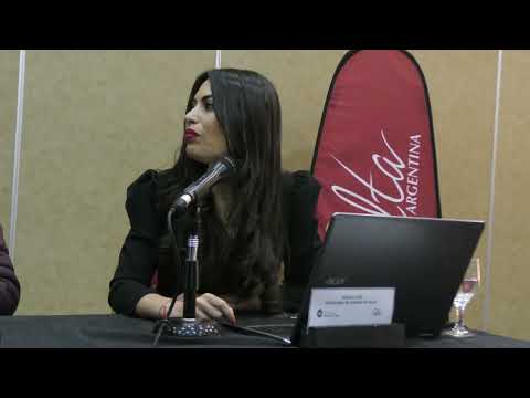 Temporada turística de julio: 6% más ocupación que en 2019 y un impacto económico de $9.632 millones