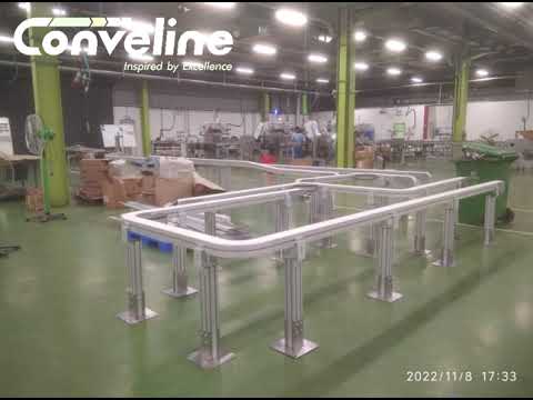 Flexible Chain Conveyor