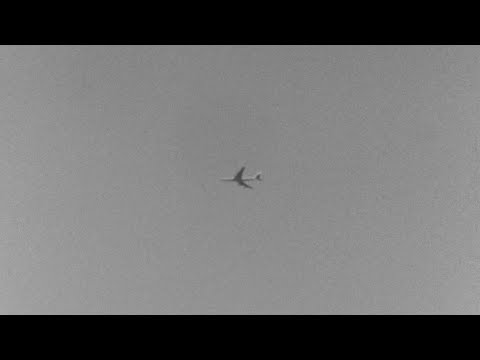 hidden contact ⋆ spineless (lyrics)