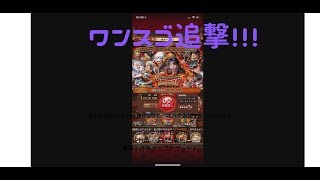 【トレクル】技サボを引く未来が見えた！！！！【ぬま】