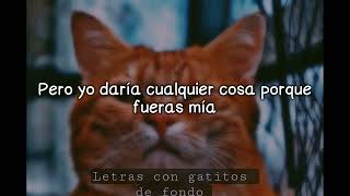 Chulería en Pote - Farruko / Letra