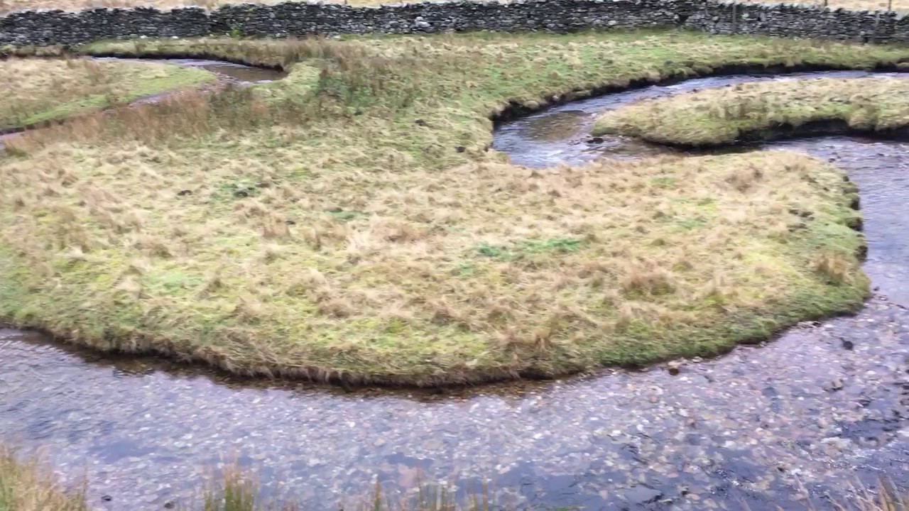 What is meander nature pattern? Zandex