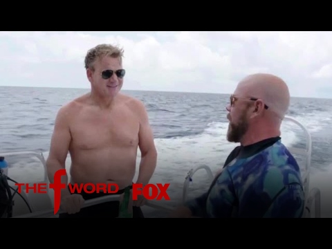 download lagu mp3 mp4 The F Word 2017, download mp3 The F Word 2017 free download, download mp3 The F Word 2017