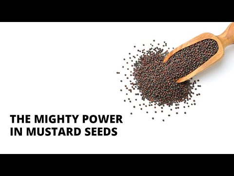 The Mighty Power in Mustard Seeds