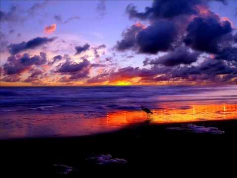 M.I.K.E. pres. Plastic Boy - Chocolate Infusion [Original Mix]