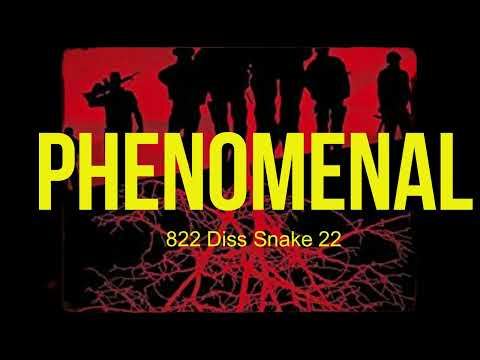 Phenomenal 822 Diss (Snake 22)