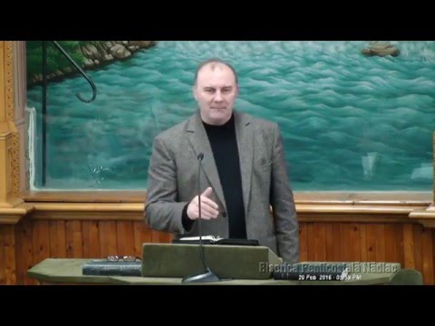 Virgil Neagu - Provocarile tineretii