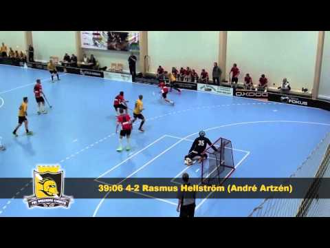 FBC Raseborg Knights- IKHTYS 14.11.2014 (maalikooste)