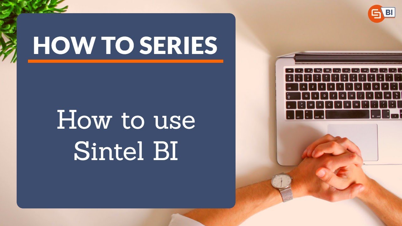 4  How to use Sintel BI