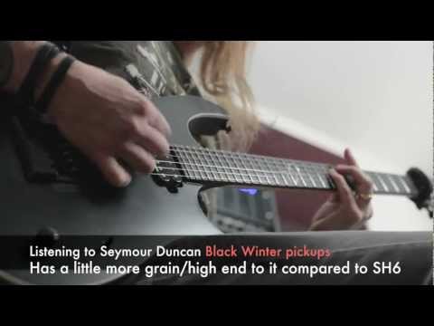 Seymour Duncan Black Winter pickups