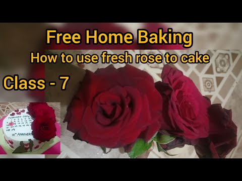 Free Home Baking class 7 🥳#ytvideos@PaviCakesandVlogsinTamil #ytviews#cakes#freebakingclassbypavi#💟💟