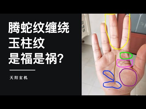 通天紋玉柱紋