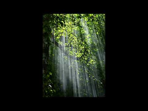 [FREE] lil lotus, nothing nowhere, guardin type beat | "old faces"