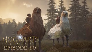 ✨Hogwarts Legacy | Episode 10 – "Beeting" a Curse & Troll Control (No Commentary)