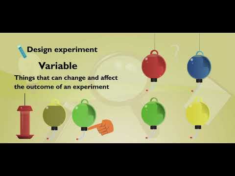 Scholastic Study Jams Scientific Method