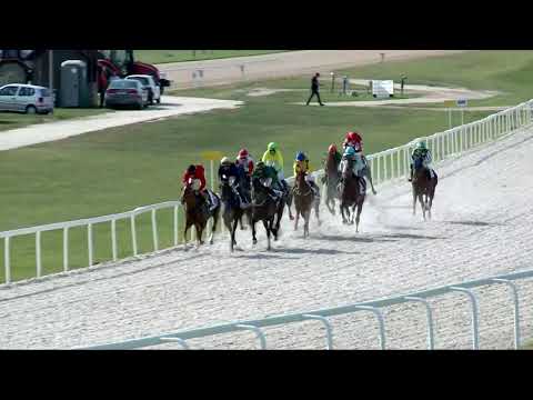 2017.09.10. 3. futam - DANCING CANDLE HENDIKEP (V/b.) (szintetikus pálya)