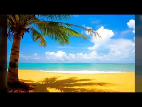 BeBBe feat DependenT-O zi de vară