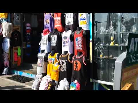 Releafy Torch 2.0 Venice Beach walkway