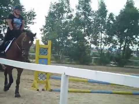 warmtraben in Kapellerfeld