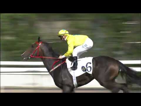 9/2/2022 (412) Lucky Sweynesse - Z Purton