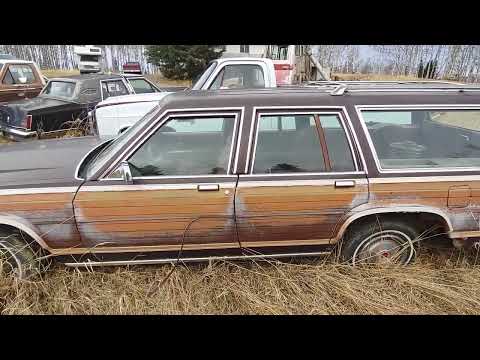 Thumbnail for Field Fresh 1979 Ford LTD Country Squire. Will It run? Will it drive? by Car, Ford Squire