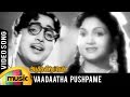 Adutha Veettu Penn Tamil Movie Songs Vaadaatha Pushpame Video Song Mango Music Tamil