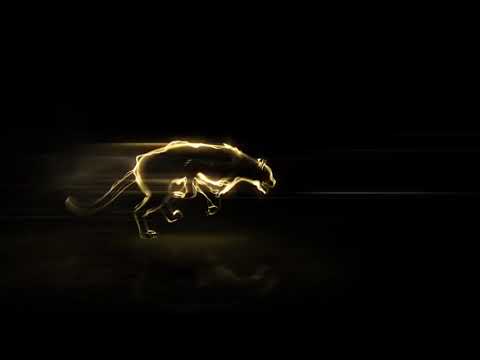 This Is Why Bruiser Nidalee Top Is SO STRONG! Making Irelia Afk!! - League of Legends